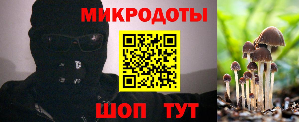 Советская Гавань  Псилоцибиновые грибы Psilocybe  Вход с VPN 